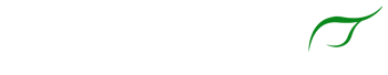 Ginger Thai Katy Logo